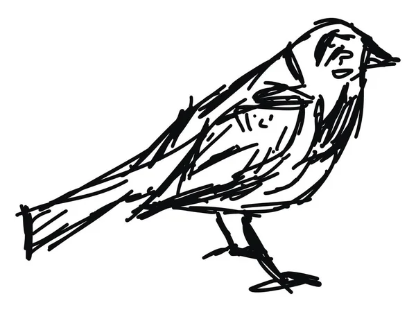 Bird sketch, illustration, vector on white background. — Stock Vector