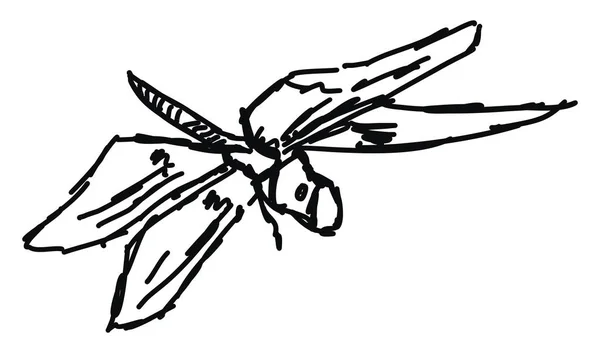 Dragonfly schets, illustratie, vector op witte achtergrond. — Stockvector