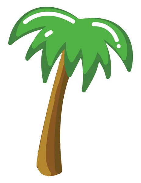 Palm träd, illustration, vektor på vit bakgrund. — Stock vektor