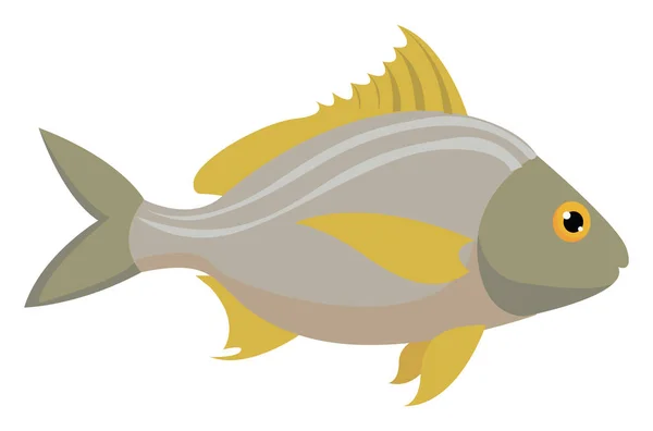 Fish, illustration, vector on white background. — Stock Vector