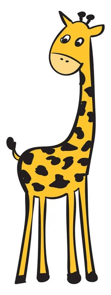 Girafa, ilustração, vetor sobre fundo branco . — Vetor de Stock
