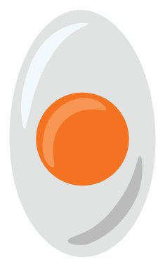 Yarım yumurta, illüstrasyon, beyaz arkaplan vektörü.