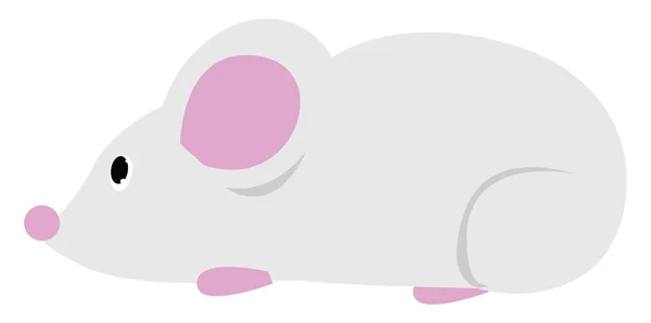 Ratón blanco, ilustración, vector sobre fondo blanco . — Vector de stock