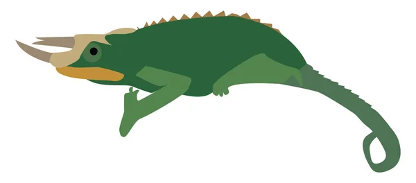 Iguana, ilustración, vector sobre fondo blanco . — Vector de stock