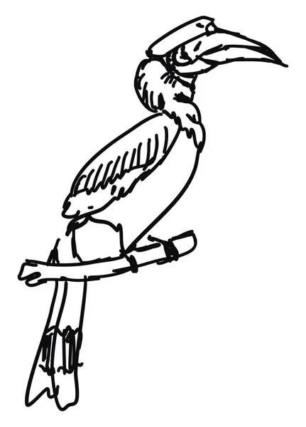 Σχέδιο πουλιών, απεικόνιση, διάνυσμα σε λευκό φόντο. — Διανυσματικό Αρχείο