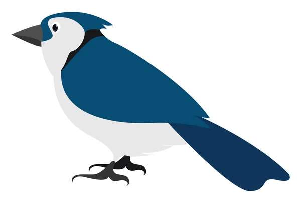 Pássaro azul, ilustração, vetor sobre fundo branco. —  Vetores de Stock