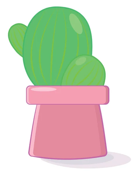 Cactus en maceta rosa, ilustración, vector sobre fondo blanco . — Vector de stock
