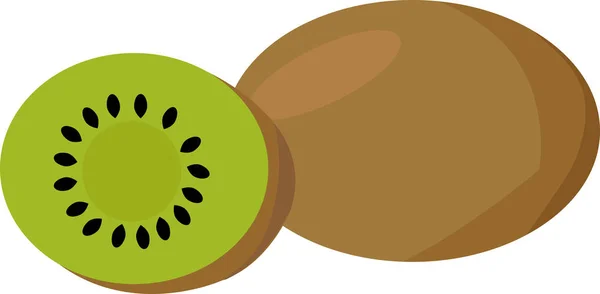 Kiwi, illustratie, vector op witte achtergrond. — Stockvector