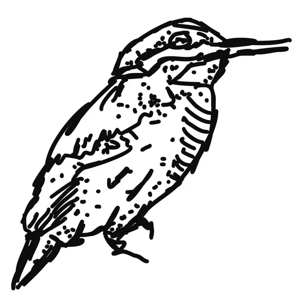 Uccello disegno, illustrazione, vettore su sfondo bianco . — Vettoriale Stock