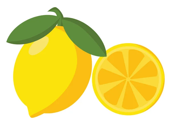 Lemon, ilustrasi, vektor pada latar belakang putih . - Stok Vektor