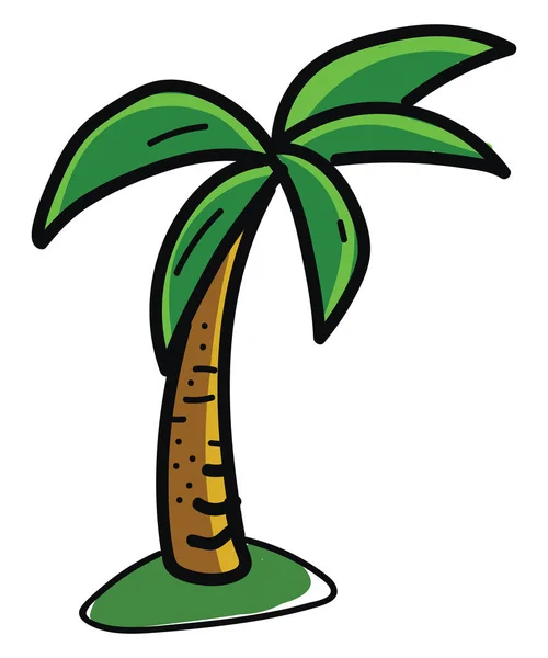 Palmboom, illustratie, vector op witte achtergrond. — Stockvector