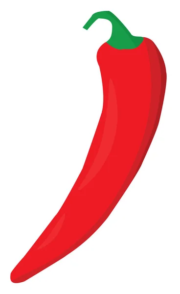 Rode peper, illustratie, vector op witte achtergrond. — Stockvector