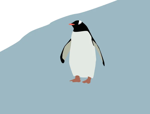Penguin on ice, illustration, vector on white background. — Stock Vector