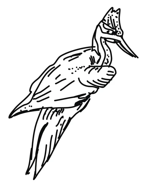 Dessin d'oiseau, illustration, vecteur sur fond blanc . — Image vectorielle