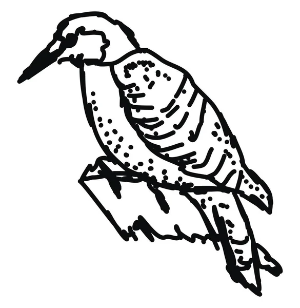 Uccello disegno, illustrazione, vettore su sfondo bianco . — Vettoriale Stock