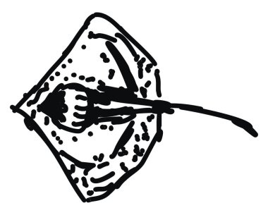 Balık çizimi, illüstrasyon, beyaz arka plan üzerinde vektör.