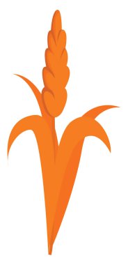 Buğday, illüstrasyon, beyaz arka plan üzerinde vektör.