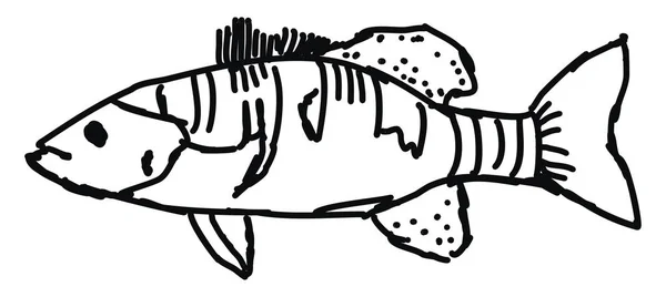 Dessin de poisson, illustration, vecteur sur fond blanc . — Image vectorielle