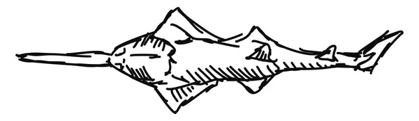 Dibujo de peces, ilustración, vector sobre fondo blanco . — Archivo Imágenes Vectoriales