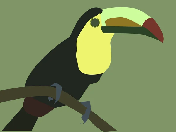 Oiseau de jungle, illustration, vecteur sur fond blanc . — Image vectorielle