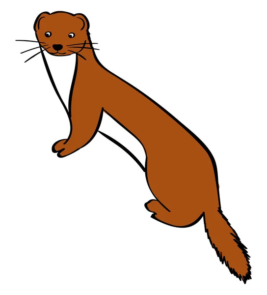 Weasel, illustratie, vector op witte achtergrond. — Stockvector