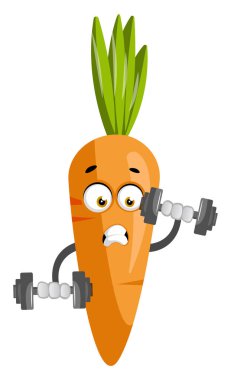 Ağırlıkları ile Havuç, illüstrasyon, beyaz arka plan üzerinde vektör.