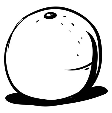 Turuncu çizim, illüstrasyon, beyaz arka plan üzerinde vektör.