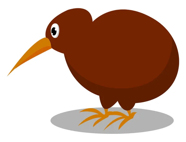 Bird Kiwi, illusztráció, vektor fehér háttérben. — Stock Vector