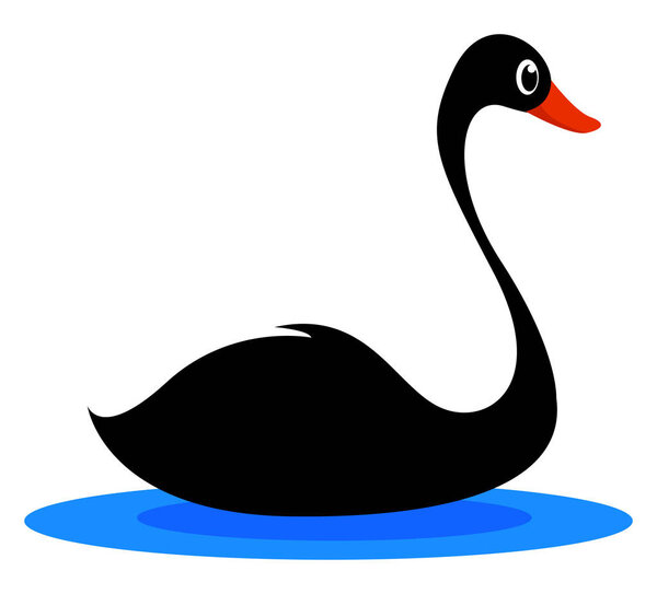 Black swan, illustration, vector on white background.