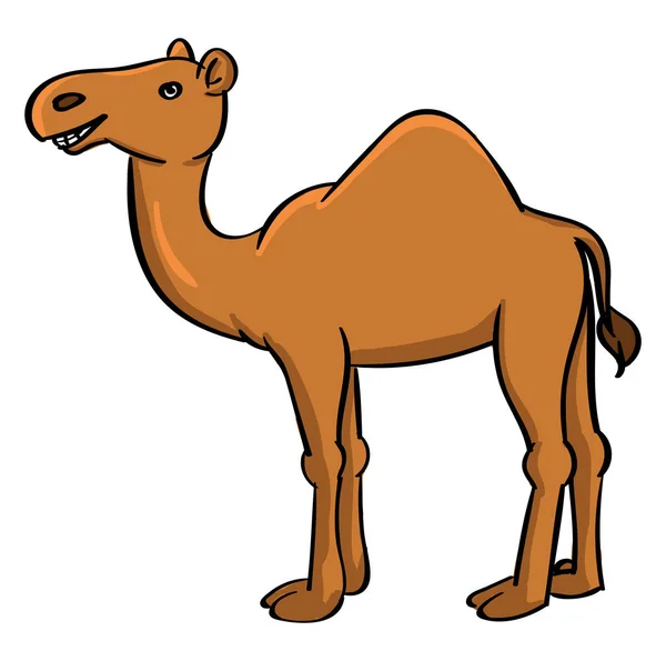 Kamel, Illustration, Vektor auf weißem Hintergrund. — Stockvektor