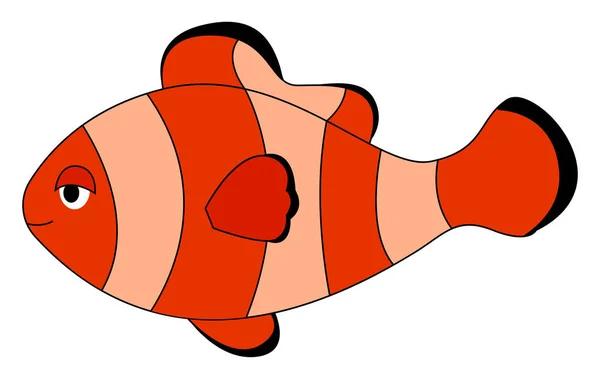 Clown fish, illustration, vector on white background. — Stock Vector