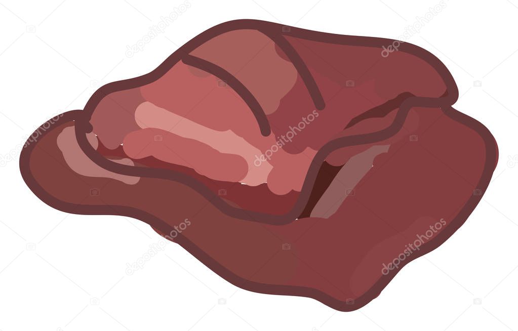 Chuck meat, illustration, vector on white background.