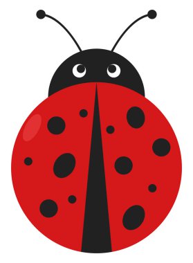 Lady hata, illüstrasyon, beyaz arka plan vektör.