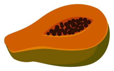 Papaya, illüstrasyon, beyaz arka plan vektör.