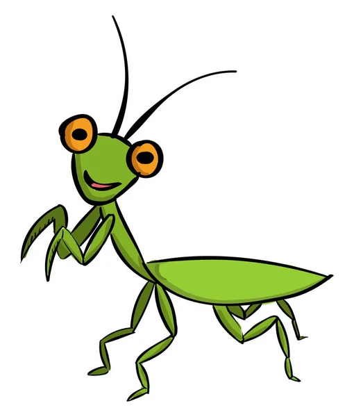 Mantis verde, ilustración, vector sobre fondo blanco . — Vector de stock