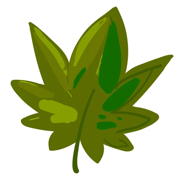 Marijuana ritning, illustration, vektor på vit bakgrund. — Stock vektor