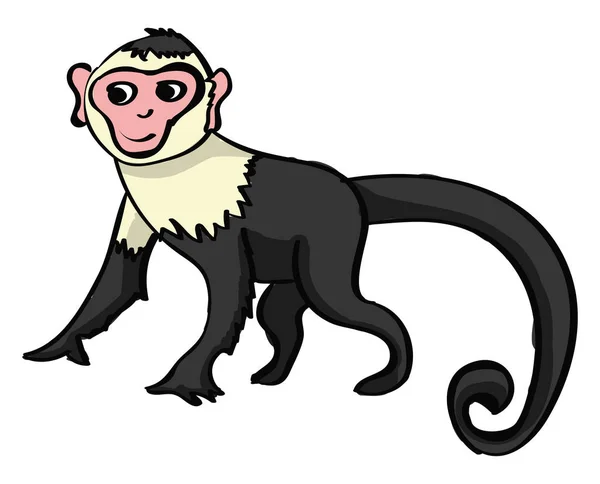 Χαριτωμένο μαϊμού, εικόνα, διάνυσμα σε λευκό φόντο. — Διανυσματικό Αρχείο