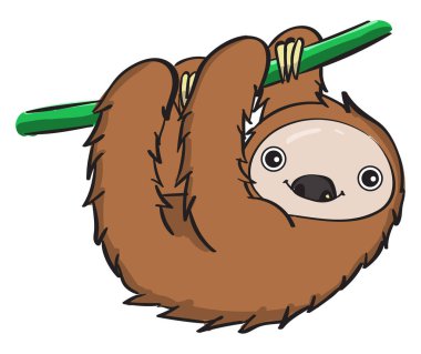 Uyuyan tembel hayvan, illüstrasyon, beyaz arkaplandaki vektör.