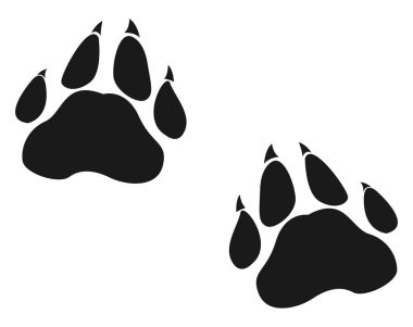 Beyaz arka planda hayvan ayak izi, illüstrasyon, vektör.