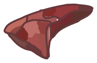 İpucu kızartma, illüstrasyon, beyaz arka plan üzerinde vektör.