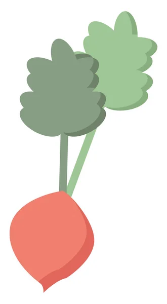 Carrot, illustration, vector on white background. — Stock Vector