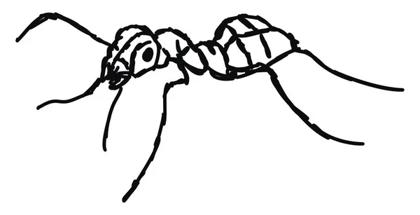 Ameisenzeichnung, Illustration, Vektor auf weißem Hintergrund. — Stockvektor