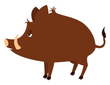 Yaban domuzu, illüstrasyon, beyaz arka plan üzerinde vektör.