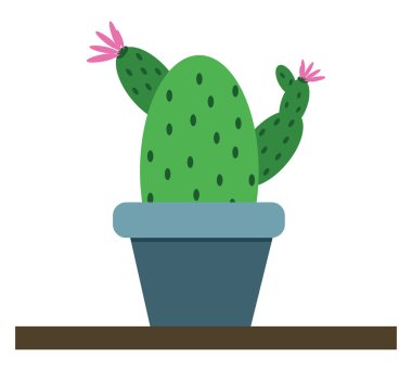 Kaktüs in pot, illustration, vektör on white background.