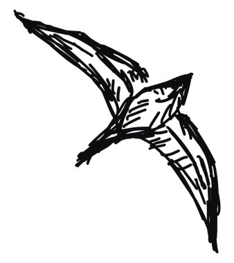 Kuş krokisi, illüstrasyon, beyaz arka plan üzerinde vektör.