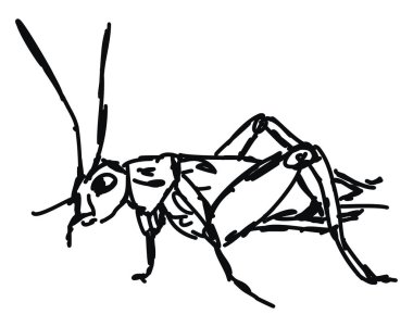 Hata çizimi, illüstrasyon, beyaz arka plan üzerinde vektör.