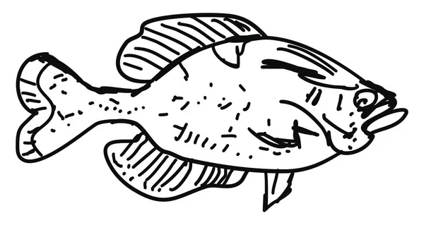Bosquejo de peces, ilustración, vector sobre fondo blanco . — Vector de stock