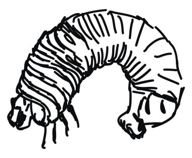 Grub çizim, illüstrasyon, beyaz arka plan üzerinde vektör.