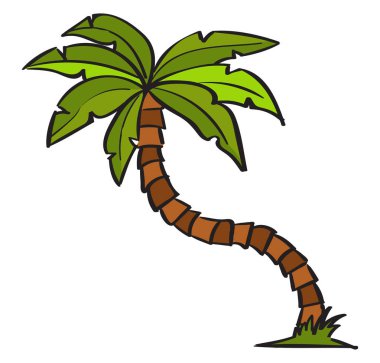 Palma, illüstrasyon, beyaz arka plan vektör.