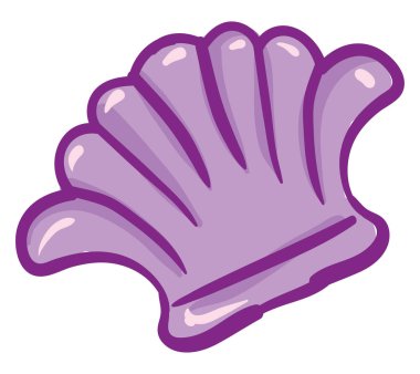 Deniz pembesi kabuk, illüstrasyon, beyaz arka plan vektör.